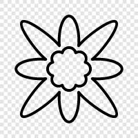 Floral, Bloom, Bouquet, Bloomer icon svg