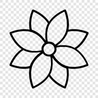 Floral, Bloom, Bloomers, Bloomery icon svg