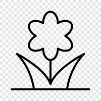 Floral, Blooms, Bloom, Bouquet icon svg