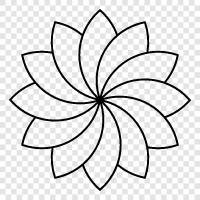 Blumenkohl symbol