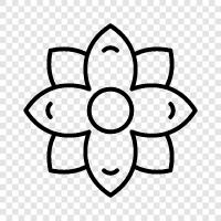 Floral, Bouquet, Bloom, Bloomer icon svg