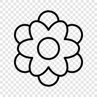 Floral, Bloom, Blooms, Plant icon svg