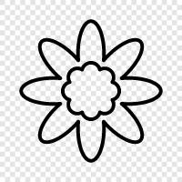 Floral, Bouquet, Bloom, Petal icon svg