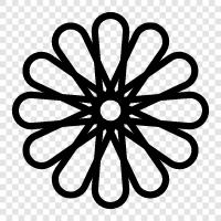 Blumen, Blumenkohl, Blüten, Blüte symbol