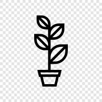 Floral, Garden, Botany, Fertilizer icon svg