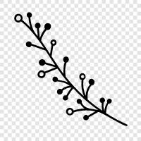 Blumendrucke, Blumenkleider, Blumenmuster, Blumenröcke symbol