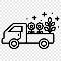 florist, flower delivery near me, flower delivery service, flower delivery icon svg