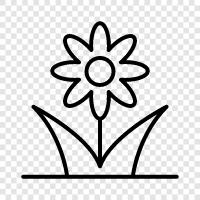 Blumenversand, Blumensträuße symbol