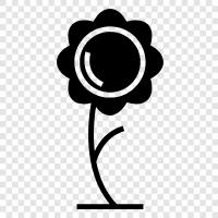 Flower arrangement, Floral design, Florist, Flower shop icon svg