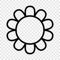 flower, beauty, fragrance, spring icon svg