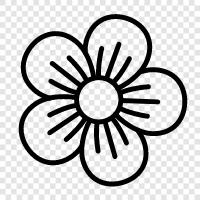 flower, plant, bloom, fragrance icon svg