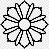 flower, blue flower, white flower, petal icon svg