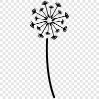 Blume, Garten, wild, Unkraut symbol