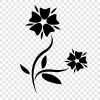 Blumen, Pflanzen, Gartenarbeit, Blüten symbol