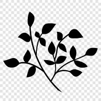 Blume, Gartenarbeit, Schmutz, Blätter symbol