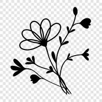 Blume, frisch, blühend, zierlich symbol