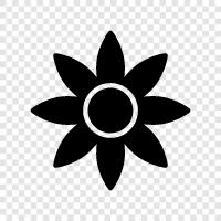 BlumenMädchen, Blumen, Blumenladen symbol