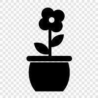 flower, plant, blooming, colorful icon svg