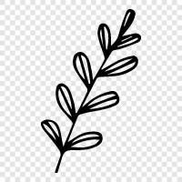 flower, leaves, stem, root icon svg