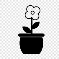 flower, flowering, plant, flowering plants icon svg