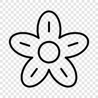 Flower Photography, Flower Photography Tips, Flower Photography Ideas, Flower Photography Tips and icon svg