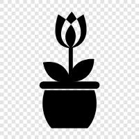 Flower Pot, Pot, Flower, Garden icon svg