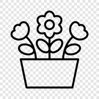 Çiçek Pot Planları, Çiçek Pot Satılık, Çiçek Pot Bahçe G, Çiçek Pot ikon svg
