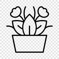 Flower Pot Planter, Flower Pot Shop, Flower Pot Supplier, Flower icon svg