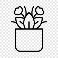 Flower Pot Planters, Flower Pot Shop, Flower Pot Supplier, Flower Pot icon svg