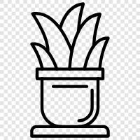 Flower Pot Supplier icon