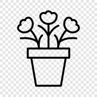Flower Potters, Flower Potting, Flower Potting Soil, Flower icon svg