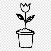 Flower Potting, Flower Potting Soil, Flower Potting Supplies, Flower Pot icon svg