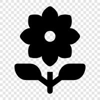 Flower Shop, Flower Delivery, Spring Flowers, Summer Flowers icon svg