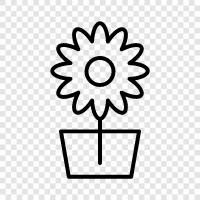 flower vase, ceramic vase, pottery vase, vase icon svg