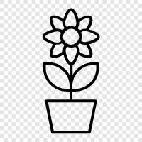 flowers, gardening, gardening tips, plants for sale icon svg