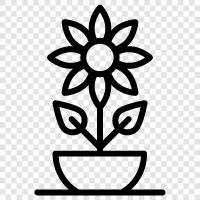 çiçekler, bahçecilik, bahçecilik ipuçları, satılık bitkiler ikon svg
