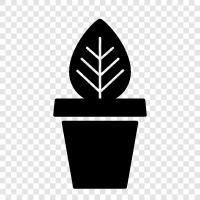 Çiçekler, Bahçecilik, Planting, Tohumlar ikon svg