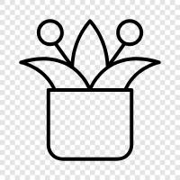 flowers, plants for sale, plants for indoor, plants for outdoor icon svg
