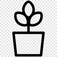 Flowers, Gardening, Plants, Plant icon svg