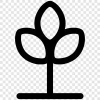 Flowers, Garden, Botany, Gardening icon svg