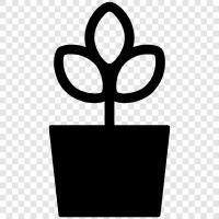 flowers, leaves, stem, growth icon svg