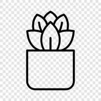 flowers, gardening, gardening tips, plants for sale icon svg