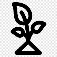 Blumen, Gemüse, Früchte, Bäume symbol