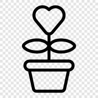 Flowers, Gardening, Garden, Flower icon svg