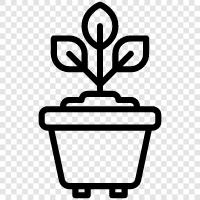 Flowers, Garden, Landscape, Vegetable icon svg