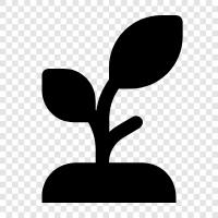 Flowers, Plants, Vegetables, Seeds icon svg