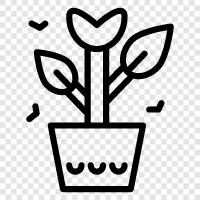 Flowers, Garden, Planting, Gardening icon svg