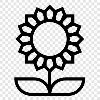 flowers, native, perennial, blooming icon svg