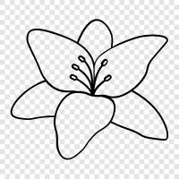 flowers, plants, Hardy, longlived icon svg