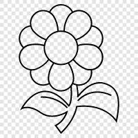 flowers, garden, stem, leaves icon svg